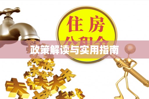 苏尼特右旗政策解读与实用指南